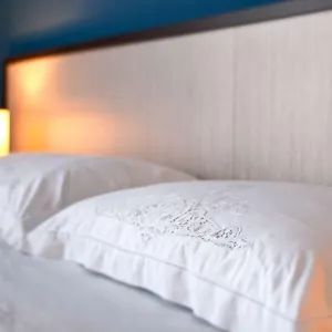 book here